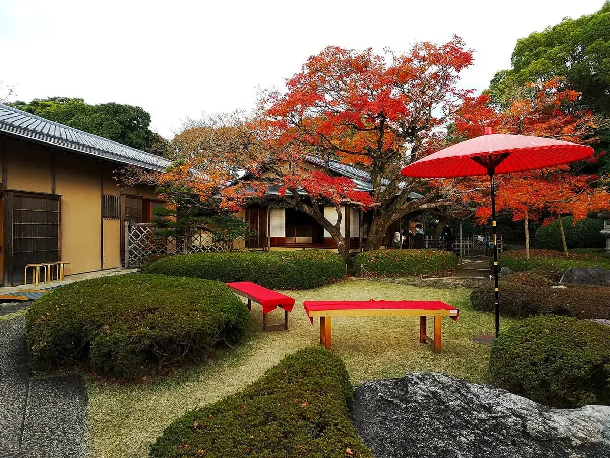 松風園の紅葉と野点傘